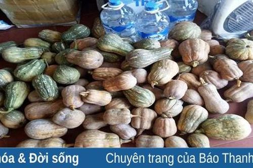 Huy động hơn 5 tấn rau, củ quả ủng hộ người dân TP Hồ Chí Minh