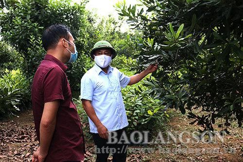 Lãnh đạo UBND tỉnh kiểm tra vườn trồng, cơ sở sản xuất, chế biến mắc ca trên địa bàn tỉnhTin khácGia đình nhiều thế hệ: Lưu giữ, phát huy các giá trị văn hóa truyền thốngChương trình 'Tiếp sức mùa thi': Nhân lên những hành động đẹp