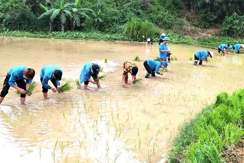Đổi công gây quỹ đoàn ở Xuân Lập