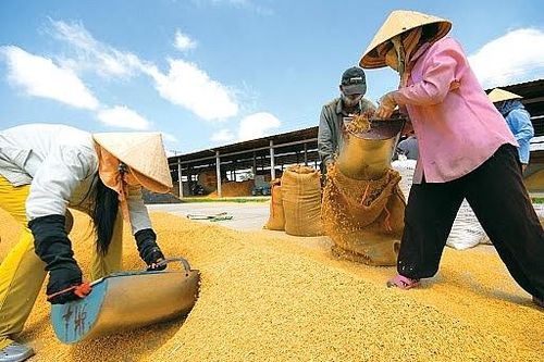 Bảo đảm lương thực, thực phẩm trong tình hình dịch Covid-19