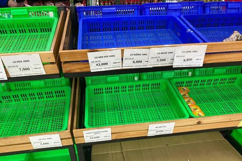 Gừng, sả tươi cháy hàng do người dân ồ ạt mua dự trữ
