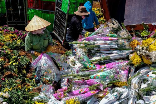 Bộ Nông nghiệp nói gì về việc Đà Lạt tiêu hủy cả triệu cành hoa?