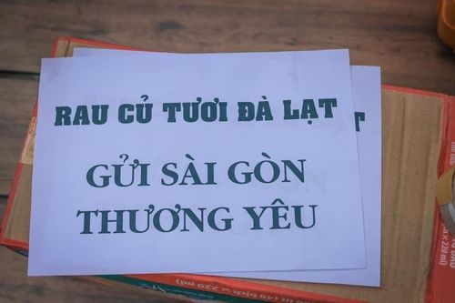Gửi những yêu thương hướng về TP Hồ Chí Minh trong đại dịch