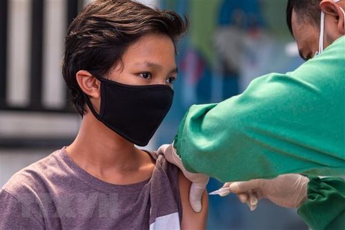Indonesia xem xét cấp phép sử dụng cho nhiều loại vaccine COVID-19