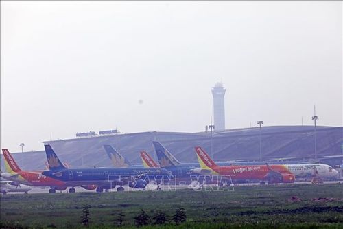 Bộ Giao thông Vận tải báo cáo Thủ tướng việc lập Hãng hàng không vận tải hàng hóa IPP Air Cargo