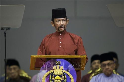Điện mừng kỷ niệm lần thứ 75 ngày sinh của Quốc vương Brunei