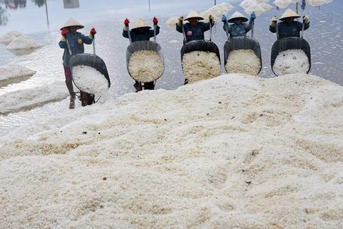 Hình ảnh sinh động về diêm dân Việt Nam trên báo nước ngoài
