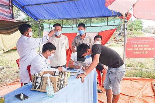 Cần tăng cường phòng, chống dịch bệnh tại các cảng cá