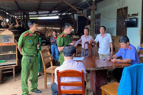 Gia Lai: Truy tố 7 bị can mua bán gần 1.400m3 gỗ lậu