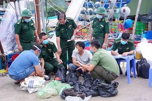 Bộ đội Biên phòng tỉnh Bà Rịa – Vũng Tàu thu giữ số lượng lớn vật liệu nổ