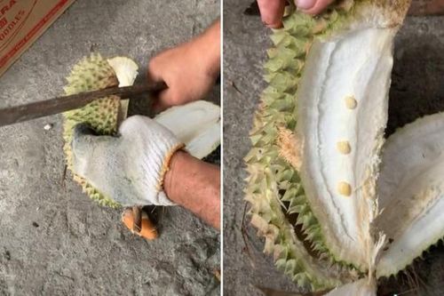 Bổ quả sầu riêng 'khổng lồ', thanh niên 'chết lặng' đến phút cuối