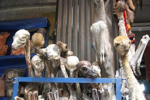 Khu chợ phù thủy thần bí ở Bolivia