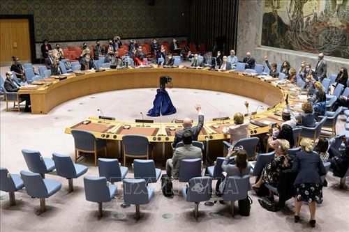 HĐBA thông qua Nghị quyết gia hạn hoạt động của Phái bộ LHQ tại Hodeidah, Yemen