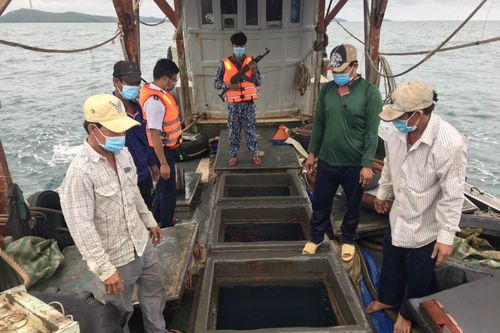 Bắt giữ tàu vận chuyển 50.000 lít dầu DO trái phép