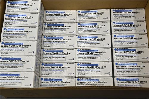 Bộ Y tế phê duyệt vaccine COVID-19 Vaccine Janssen của hãng Johnson & Johnson
