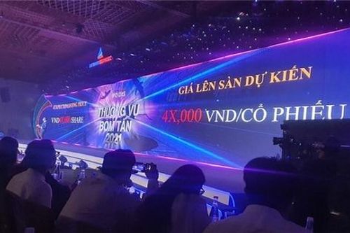 Cổ phiếu DXS và thương vụ IPO 'ác cảm'