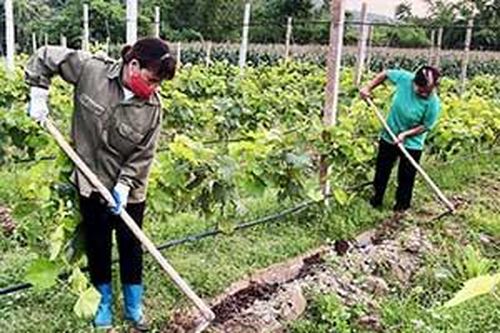 Thành đoàn Lạng Sơn: Đồng hành với thanh niên khởi nghiệp, lập nghiệpTin khácGia đình nhiều thế hệ: Lưu giữ, phát huy các giá trị văn hóa truyền thốngChương trình 'Tiếp sức mùa thi': Nhân lên những hành động đẹp