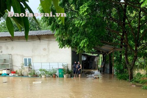 Mưa lũ làm ngập 15 nhà dân và hơn 30 ha cây nông nghiệp bị hư hỏng