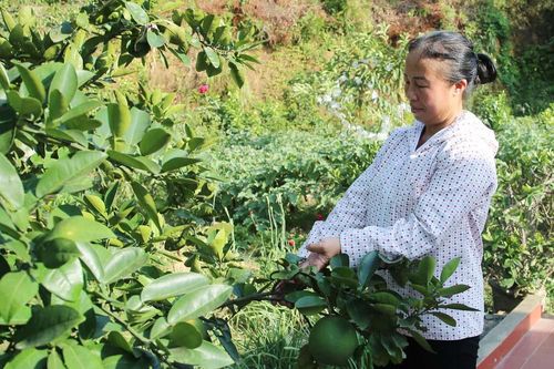Phụ nữ Bảo Hà xây dựng gia đình '5 không, 3 sạch'
