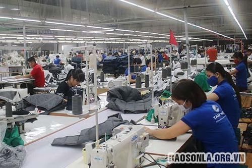 Đào tạo nghề, thêm việc làm cho phụ nữ