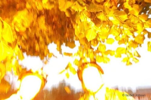 Ảnh chụp khoảnh khắc 3 chị em bị sét đánh trúng