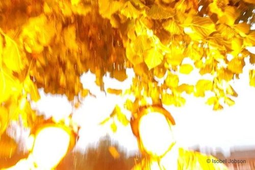 Bức ảnh selfie chụp đúng khoảnh khắc ba chị em bị sét đánh ở Anh
