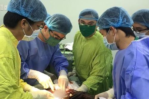 Ngã khi cưa cây, người đàn ông bị cọc bần dài gần 1m đâm xuyên hạ vị