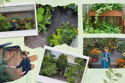Cận cảnh khu vườn nhỏ trong biệt thự triệu đô của Tăng Thanh Hà