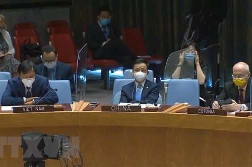 Việt Nam ủng hộ giải pháp chính trị toàn diện, bầu cử đúng hạn ở Libya