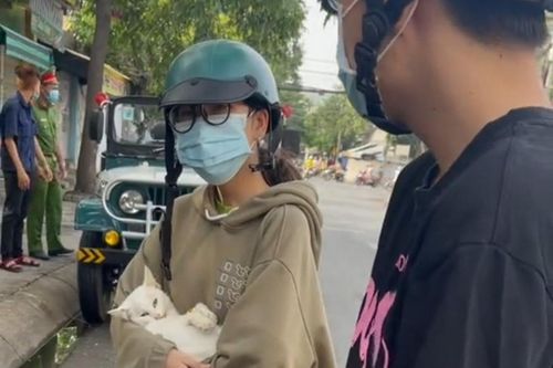 Tranh cãi chuyện đưa mèo đi khám giữa lúc phong tỏa COVID-19