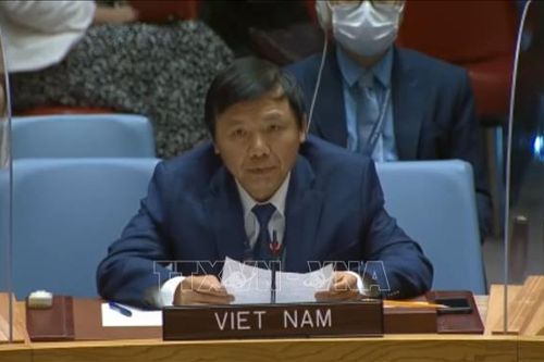 Việt Nam ủng hộ giải pháp chính trị toàn diện và bầu cử đúng hạn tại Libya