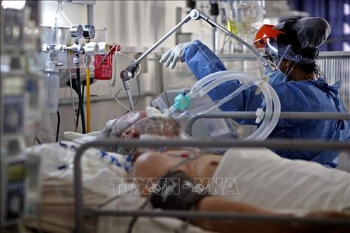 Argentina để Quốc tang 5 ngày tưởng niệm các nạn nhân tử vong vì COVID-19