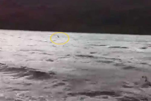 Xuất hiện video rõ nét nhất về sự xuất hiện của quái vật hồ Loch Ness