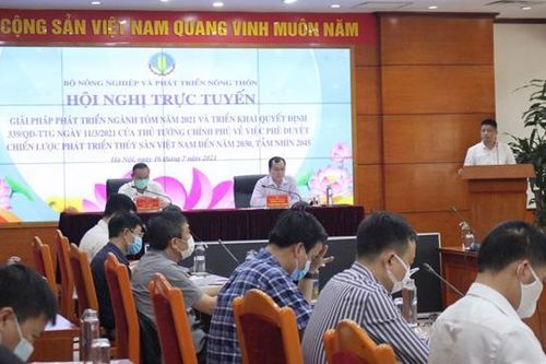 Nhiều bất cập, xuất khẩu tôm khó cán mốc 10 tỷ USD vào năm 2025?