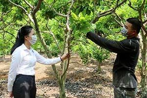 Nguồn vốn tam nông: Đồng hành cùng người dân Chi Lăng phát triển kinh tếTin khácSáng mãi ngọn lửa thanh niên xung phongGia đình nhiều thế hệ: Lưu giữ, phát huy các giá trị văn hóa truyền thống