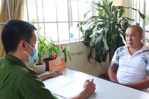 Lâm Đồng: Kỷ luật 5 cán bộ để xảy ra vụ phá thông ngay chân đèo Prenn