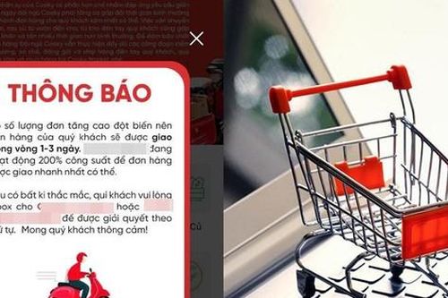 Giới trẻ Sài Gòn trầy trật 'đi chợ' online: Hẹn từ vài ngày đến cả tuần mới giao hàng