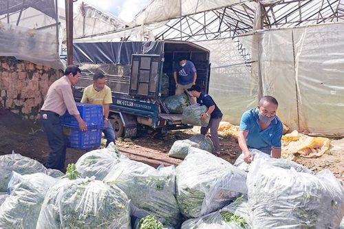 Lâm Đồng sát cánh cùng các địa phương Đông Nam Bộ