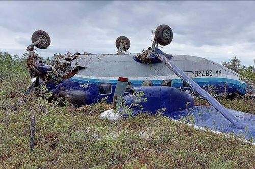Ủy ban điều tra LB Nga công bố nguyên nhân máy bay mất tích tại Siberia