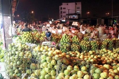 Nghiên cứu quy hoạch và đầu tư dự án chợ đầu mối Hòa Phước