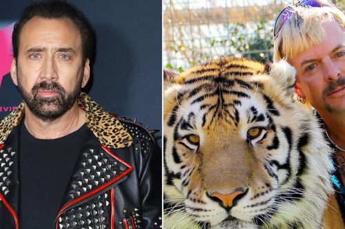 Nicolas Cage sẽ không tham gia 'Vua hổ'