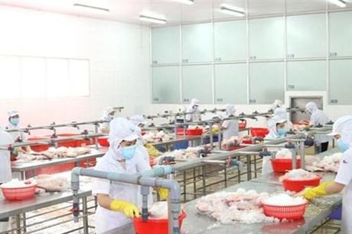 Việt Nam hấp dẫn cộng đồng doanh nghiệp vùng Sicilia của ItalyTin khácSáng mãi ngọn lửa thanh niên xung phongGia đình nhiều thế hệ: Lưu giữ, phát huy các giá trị văn hóa truyền thống
