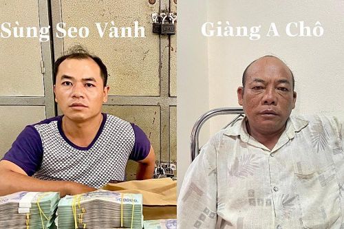 Liên tiếp triệt phá 2 đường dây vận chuyển trái phép chất ma túy liên tỉnh, xuyên quốc gia