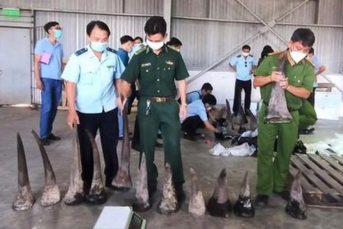 Bắt 138 kg sừng tê giác và 3,1 tấn xương động vật từ châu Phi về Việt Nam