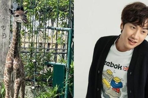 Góc đặt tên hươu cao cổ: Netizen 'triệu hồi' Lee Kwang Soo, Thơm (Da LAB) cũng góp vui