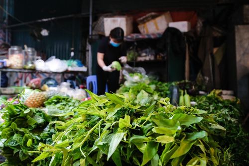 TP.HCM thiếu 1.500 tấn rau củ và 400.000 quả trứng mỗi ngày
