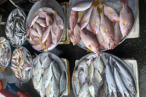 Chợ ở miền Tây vắng hoe