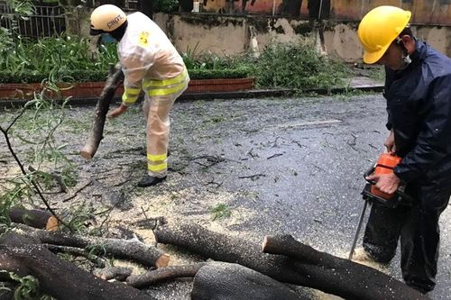 Mưa dông mạnh làm cây xanh, biển quảng cáo gãy đổ