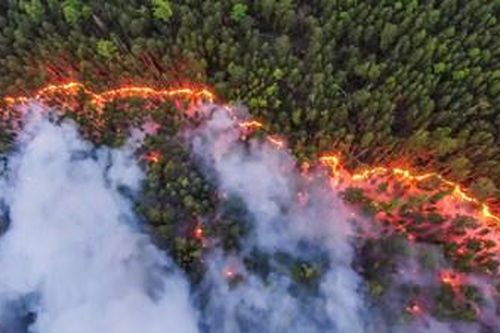 Vùng băng giá đông bắc Siberia, Nga bỗng biến thành chảo lửa