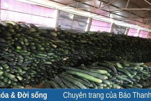 Những món quà hướng về TP mang tên Bác của người dân miền núi Như Xuân